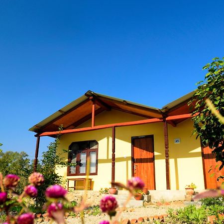 Nature Safari Resort Bardiya Εξωτερικό φωτογραφία