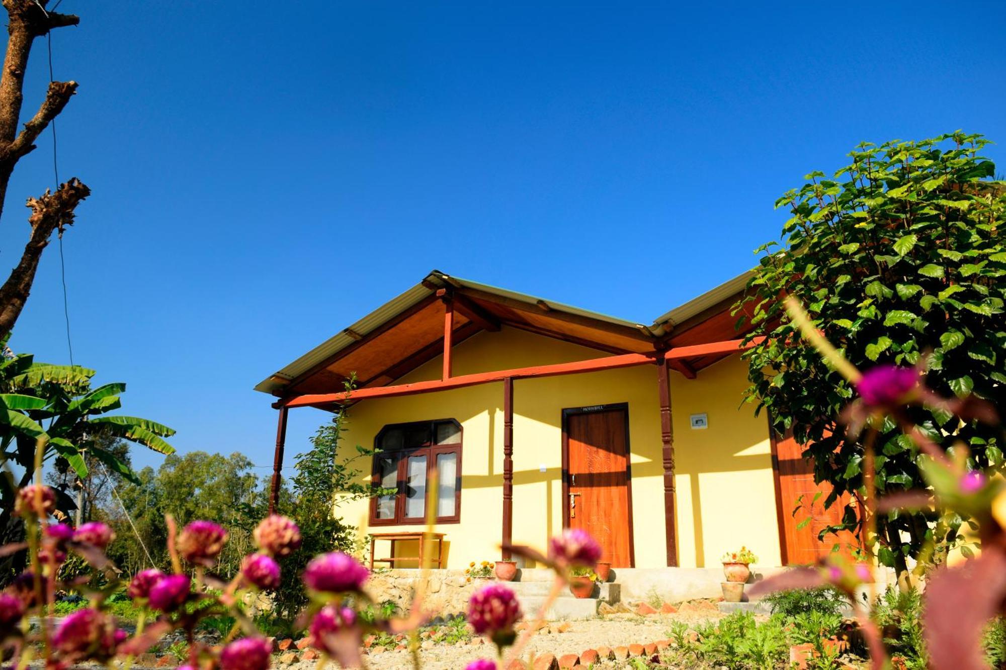 Nature Safari Resort Bardiya Εξωτερικό φωτογραφία